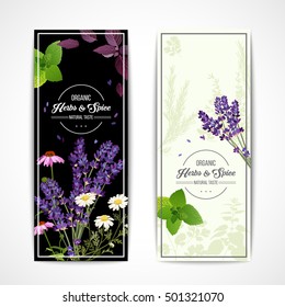 Card with organic herbs and blooming flowers and spices on black and white background vector illustration