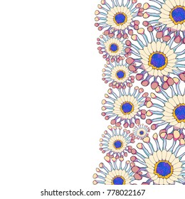 card the osteospermum a tropical flower  vector illustration