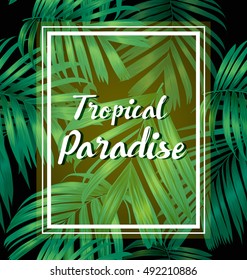 Card with palms leaves. Decorative image tropical leaf of palm tree. Image for holiday invitations, greeting cards, posters, brochures and advertising booklets.