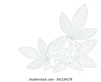 Card with peony flower and space for your text.