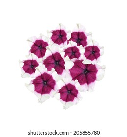 Card with photorealistic flowers