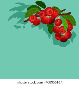 card with a picture cranberries