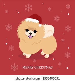 Card with pomeranian dog in Christmas santa hat. Lettering inscription. Vector Illustration.