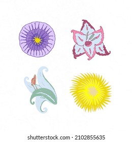A card, poster, sign with four doodle style flowers (lily, aster, daisy, gladiolus) in pastel colors on white background
