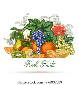 Card or poster template. Garden fruits, colored hand drawn vector illustrations.