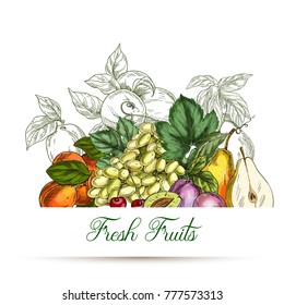 Card or poster template. Garden fruits, colored hand drawn vector illustrations.