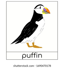Card with puffin for learning english birds. Colorful bird in impressionist style. Vector stock illustration, education.