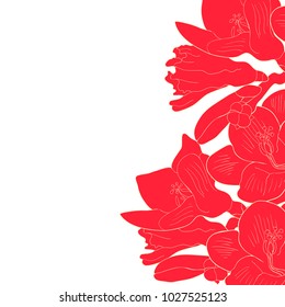 card red flower freesia kind of iris.  vector illustration