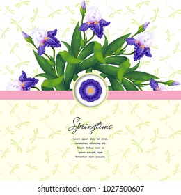 Card with ribbon. Iris flowers in round pattern. Background with dragonflies. Place for your text.