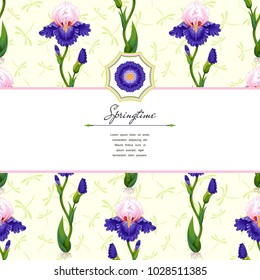 Card with ribbon for your text. Iris flowers in round pattern and dragonflies. 
