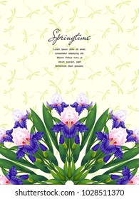 Card with round pattern of iris flowers.  Ornament with dragonflies. Place for your text.
