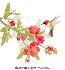 Card with sakura blossom and colibri