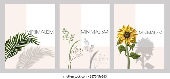 Card with shadows of leaves and sunflowers. Design banner in minimalism style
