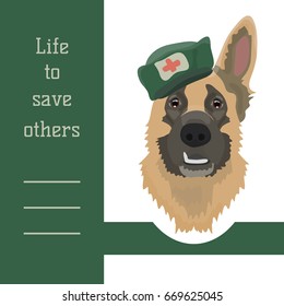 Card with sheepdog in First aid cap. Vector illustration in flat style.