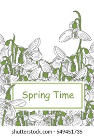 Card of snowdrops, vector illustration
