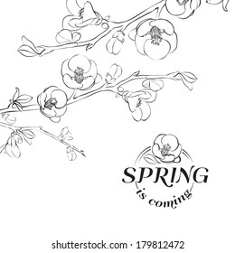 Card spring is coming - cover. Vector illustration.