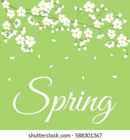 Card with spring flowers on tree branch