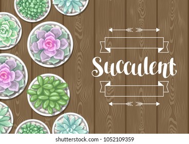 Card with succulents in pots. Echeveria, Jade Plant and Donkey Tails.