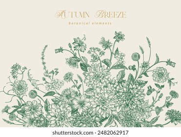 Tarjeta con flores de verano y otoño. Dalias, zinnias, ásteres, bayas de madera de perro, vid de doncella. Borde Horizontal floral. Vector ilustración botánica. Estilo Antiguas. Verde.