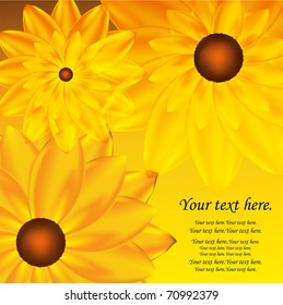 Card with sunflower. floral background.