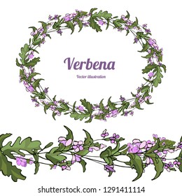 Card, template, banner hand drawing a wreath of leaves and flowers of vervain  branches. Color green verbena graphics, vector illustration. Seamless horizontal border.