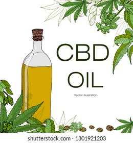 Card, template, banner hand drawing of leaves of hemp cannabis  branches. CBD oil. Color green graphics, vector illustration.
