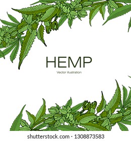 Card, template, banner hand drawing of leaves of hemp cannabis  branches. Color green graphics, vector illustration.