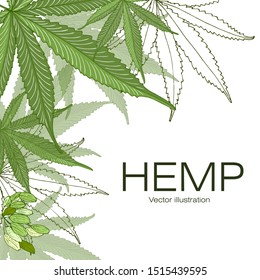 Card, template, banner hand drawing of leaves of hemp cannabis  branches. Color green graphics, vector illustration.