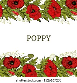 Card, template, banner hand drawing of leaves flowers of red poppy. Color red green graphics, vector illustration.