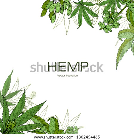 Card, template, banner hand drawing of leaves of hemp cannabis  branches. Color green graphics, vector illustration.