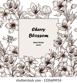 Card template with cherry blossom. Spring sakura flowers. Hand drawn vector.
