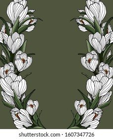 Card template with crocus plant. Hand drawn vector flower. Wedding card, invitation, banner, poster