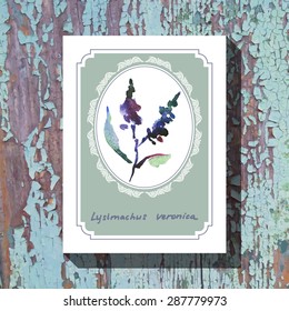 Card template with floral element with lysimachus veronica on wooden background. For floral shop, wedding design, print and web