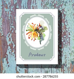 Card template with floral element with proteus on wooden background. For floral shop, wedding design, print and web