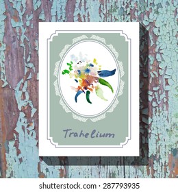 Card template with floral element with trahelium on wooden background. For floral shop, wedding design, print and web