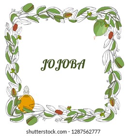 Card, template with hand drawn leaves, branch and flowers jojoba. Jojoba essential oil. Wreath with leaves and twigs.  Vector black and white, color illustration. 
