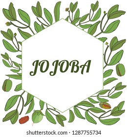 Card, template with hand drawn leaves, branch and flowers jojoba. Wreath with leaves and twigs.  Vector color illustration.