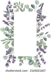 Card template with lavender sprigs and various kinds of eucalyptus branches isolated on white digital watercolor painting