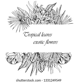 Card template with palm and monstera leaves. Black and white vector illustration.