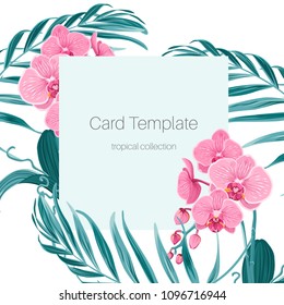 Card template with pink purple orchid phalaenopsis flowers and fern greenery exotic tropical jungle palm tree leaves. Blue square rectangular frame with text placeholder. White background.