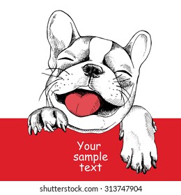 Card template with portrait of a cheerful dog. Vector illustration.