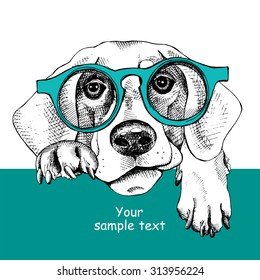 Card template with portrait of a dog in glasses. Vector illustration.