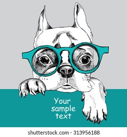 Card template with portrait of a French bulldog in glasses. Vector illustration.