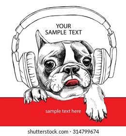 Card template with portrait of a French bulldog wearing headphones. Vector illustration.