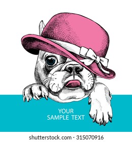 Card template with portrait of a French bulldog wearing pink Elegant women's hat with bow. Vector illustration.