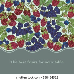 Card template.Vector frame, label with hand drawn raspberry and  blueberry 