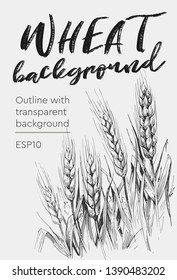 Card teplate. Background with wheat ears. Hand drawn illustration converted to vector