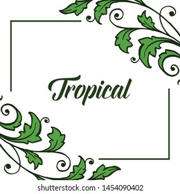 Card texture tropical with ornate of green leaves frame, isolated on white background. Vector