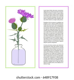 Card with Thistle Flower bud with accurate details in flat style isolated on a white background. Wildflower in glass jar. Place for text. Botany herbs Vector Illustration eps10
