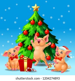 Card three joyful cute yellow pigs with red bow and a fir-tree with spheres and star, a Candy cane and gift box on blue with snowflakers. A vector illustration in cartoon style, vertical